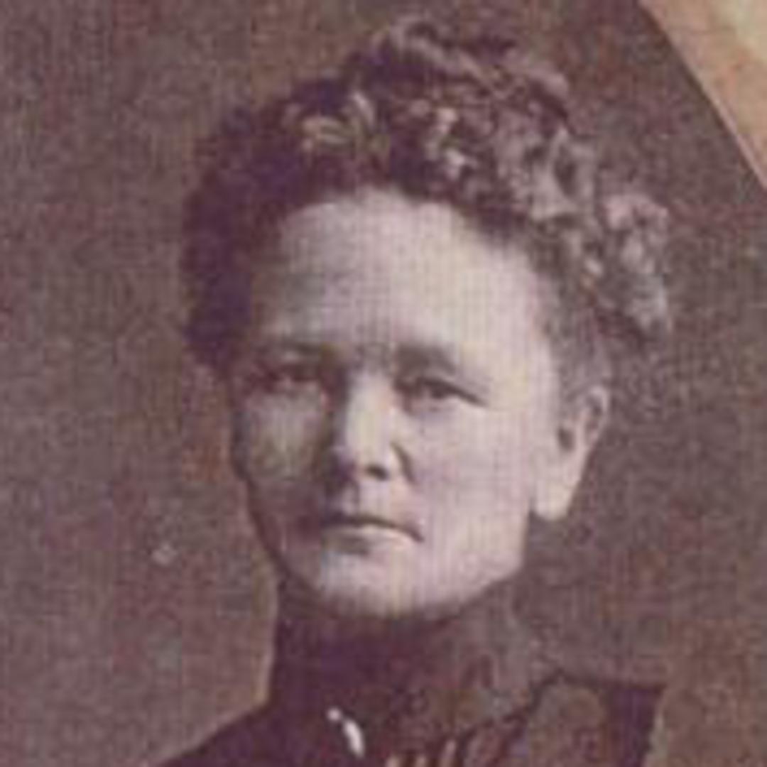 Mary Ellen Clark (1856 - 1935) Profile